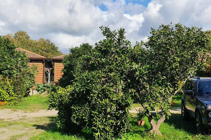 Изображение Изображение гостиницы &quot;Гостевой дом «Золотые Пески»&quot; #11 #9