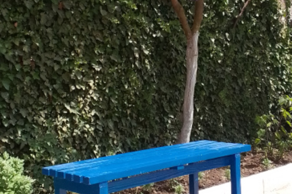 Изображение Изображение гостиницы &quot;Частный сектор «Янис»&quot; #9 #7