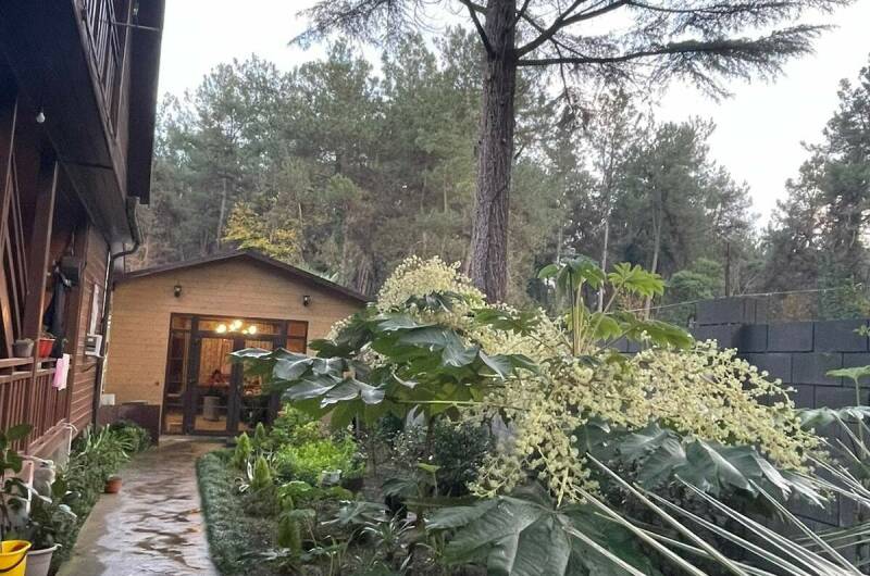 Изображение Изображение гостиницы &quot;Гостевой дом «House 9»&quot; #5 #3