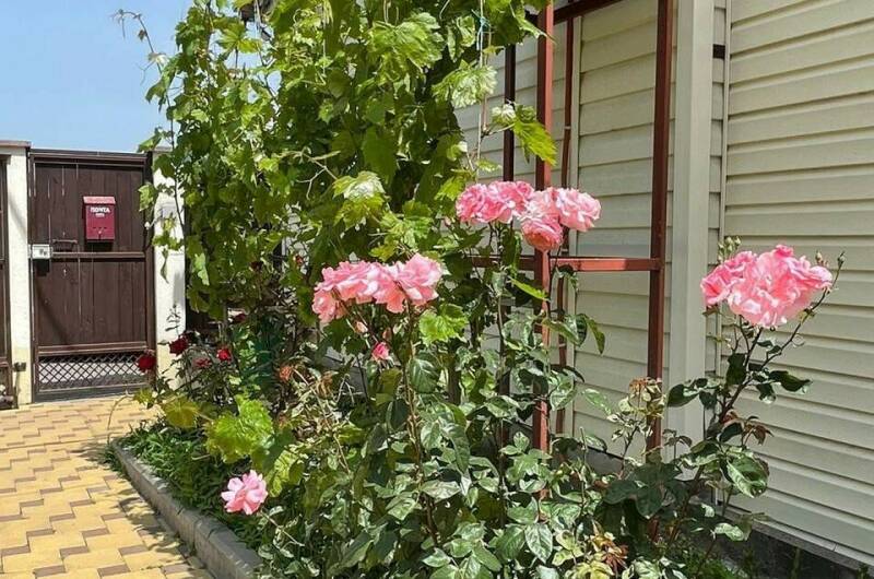 Изображение Изображение гостиницы &quot;Гостевой дом «Капучино»&quot; #8 #6