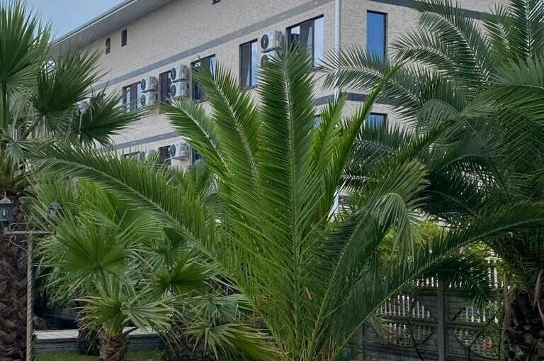 Изображение Изображение гостиницы &quot;Парк-отель «Галина»&quot; #5 #3