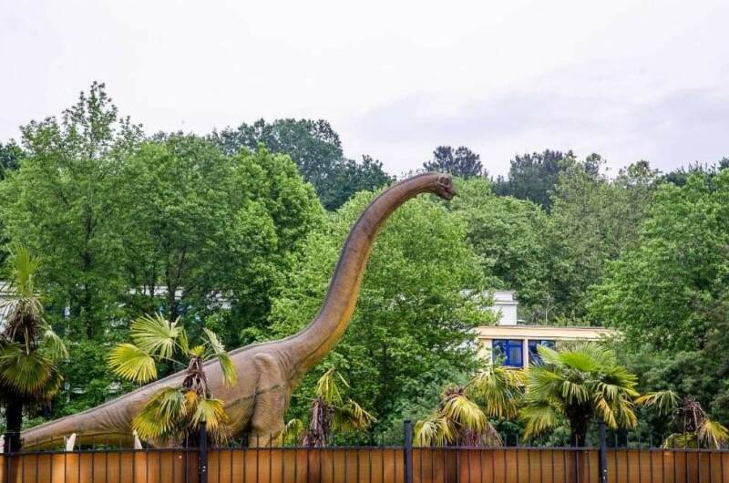 Изображение Изображение квартиры &quot;Квартира у моря с балконом&quot; #7 #5