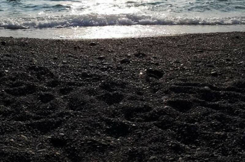 Изображение Изображение квартиры &quot;Большая квартира у пляжа «Альбатрос»&quot; #3 #1