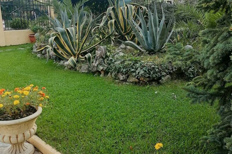 Изображение Изображение гостиницы &quot;Гостиница «Орион»&quot; #10 #8