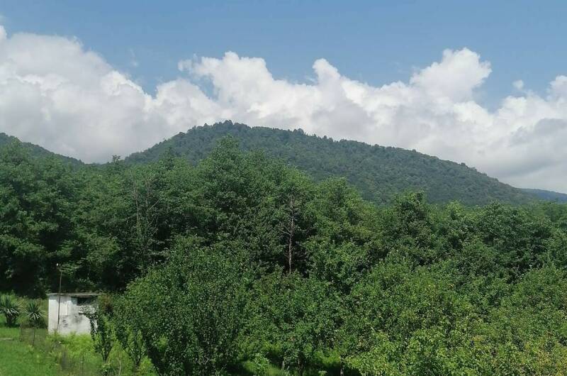 Изображение Изображение квартиры &quot;Дом под ключ «Абхазский двор»&quot; #7 #5