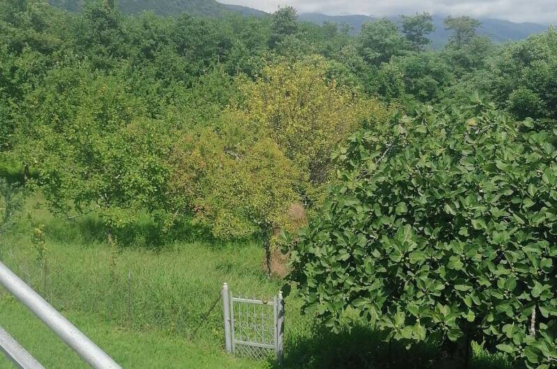 Изображение Изображение квартиры &quot;Дом под ключ «Абхазский двор»&quot; #10 #8