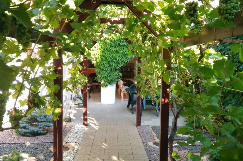 Изображение Изображение гостиницы &quot;Гостевой дом «Аритэль»&quot; #11 #9