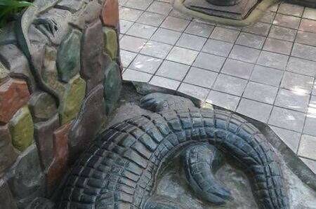 Изображение Изображение гостиницы &quot;Частный сектор «Тропикано»&quot; #4 #2