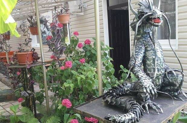 Изображение Изображение гостиницы &quot;Частный сектор «Тропикано»&quot; #11 #9