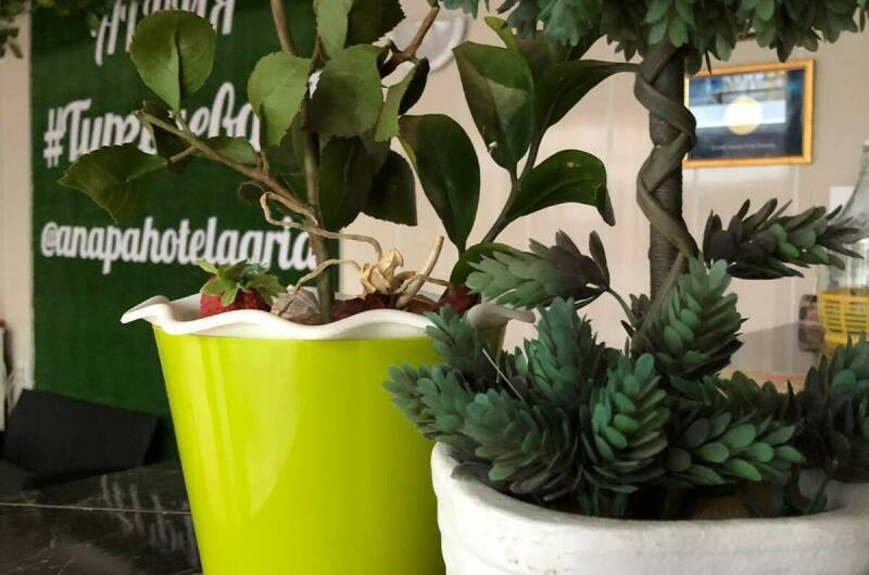 Изображение Изображение гостиницы &quot;Гостевой дом на Тургенева 97&quot; #7 #5