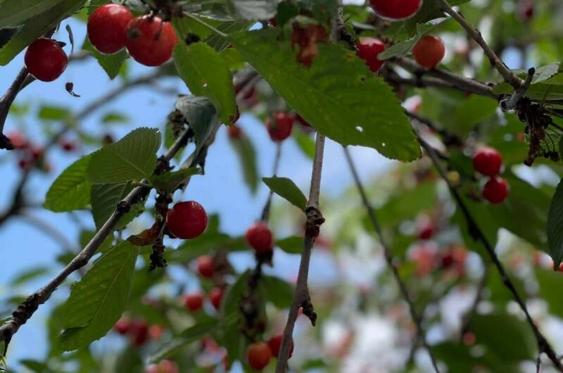 Изображение Изображение гостиницы &quot;Гостевой дом на Тургенева 97&quot; #10 #8