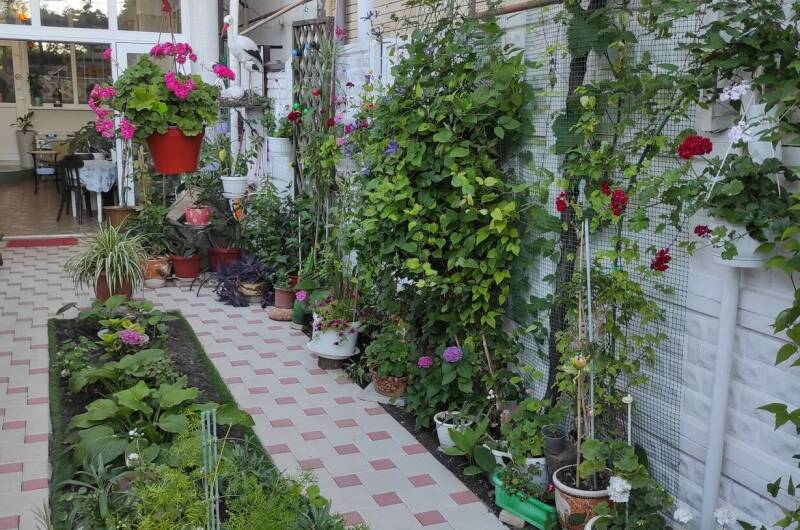 Изображение Изображение гостиницы &quot;Гостевой дом на Гоголя&quot; #10 #8