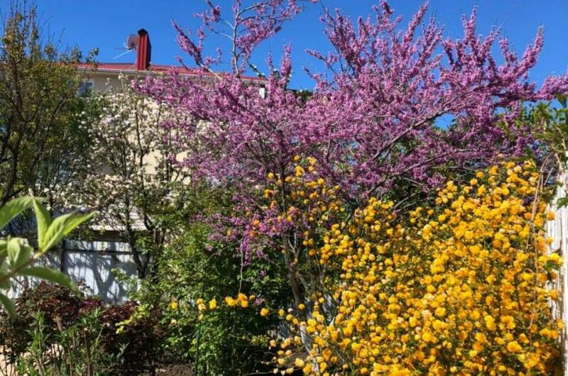 Изображение Изображение гостиницы &quot;Гостевой дом «Барон-Диана»&quot; #11 #9