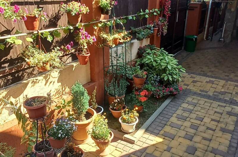 Изображение гостиницы "Частное домовладение «Курорт»" #1