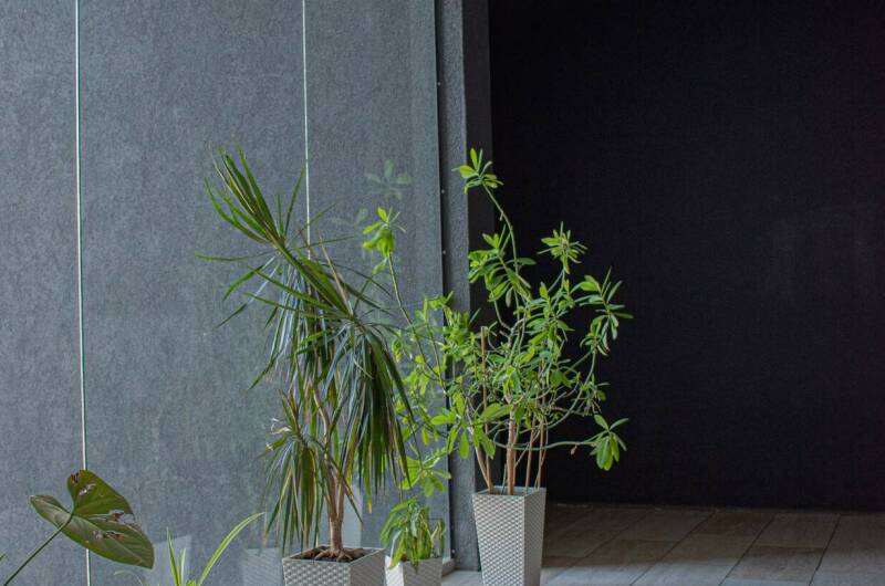 Изображение Изображение квартиры &quot;Апартаменты «Дом Корчагина»&quot; #6 #4