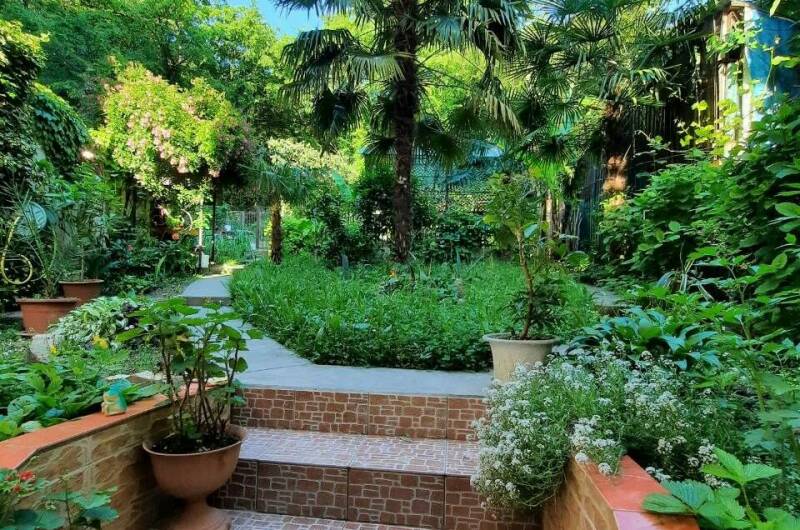 Изображение гостиницы "Гостевой дом «Мини Пальма»" #1