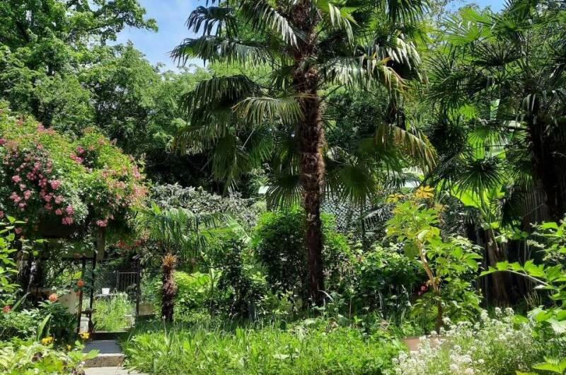 Изображение Изображение гостиницы &quot;Гостевой дом «Мини Пальма»&quot; #3 #1