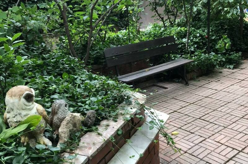 Изображение Изображение гостиницы &quot;Гостевой дом «У Совы»&quot; #8 #6