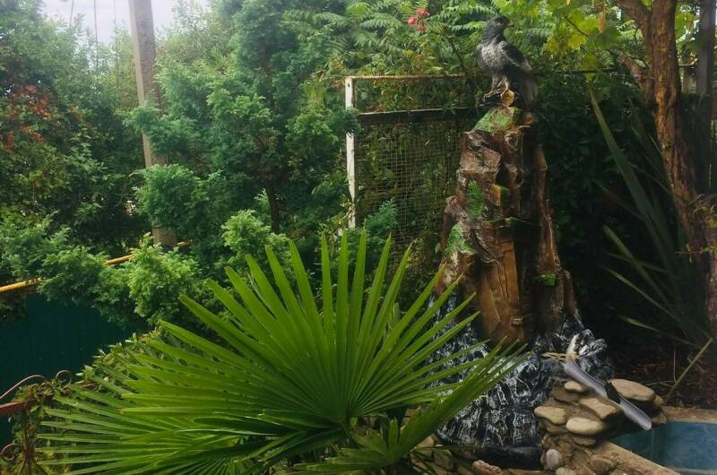 Изображение Изображение гостиницы &quot;Гостевой дом на Мирной&quot; #3 #1