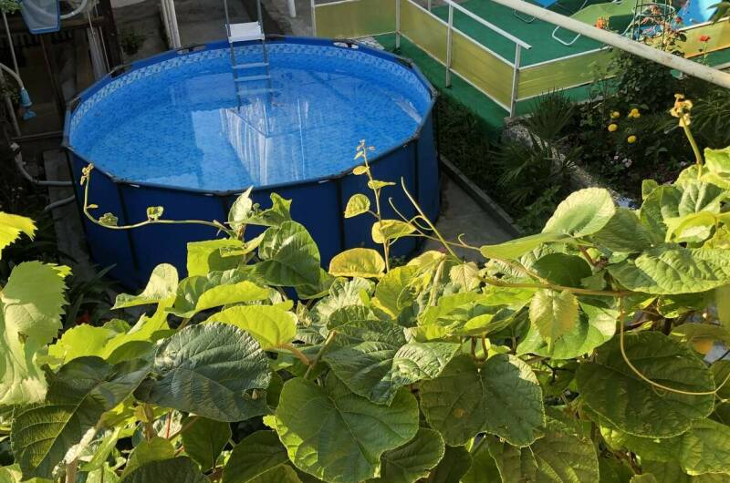 Изображение Изображение гостиницы &quot;Гостевой дом на Мирной&quot; #7 #5