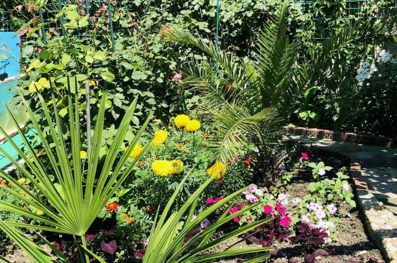 Изображение Изображение гостиницы &quot;Гостевой дом на Мирной&quot; #9 #7