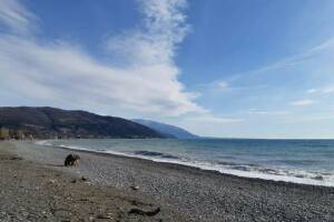 Изображение отеля / гостиницы "Гостевой дом «Лиза»"