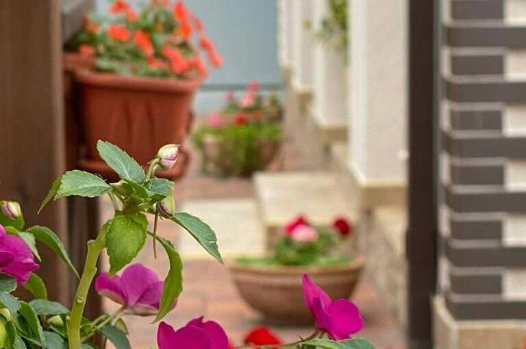 Изображение Изображение гостиницы &quot;Частный дом на Тельмана&quot; #6 #4