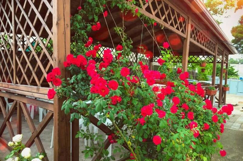 Изображение Изображение гостиницы &quot;Частный дом на Тельмана&quot; #10 #8