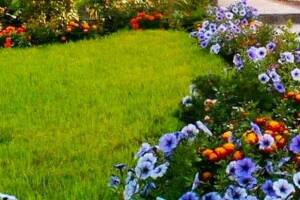 Гостевой дом «Море»