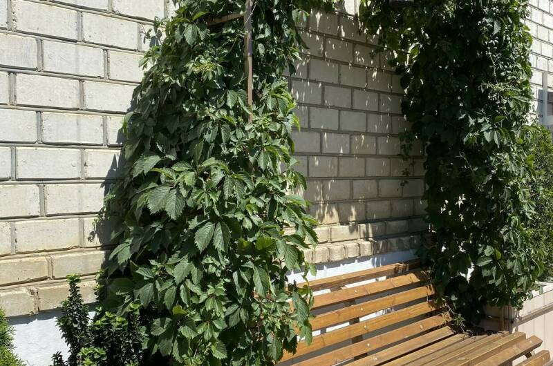 Изображение Изображение гостиницы &quot;Гостевой дом «У Пани»&quot; #3 #1