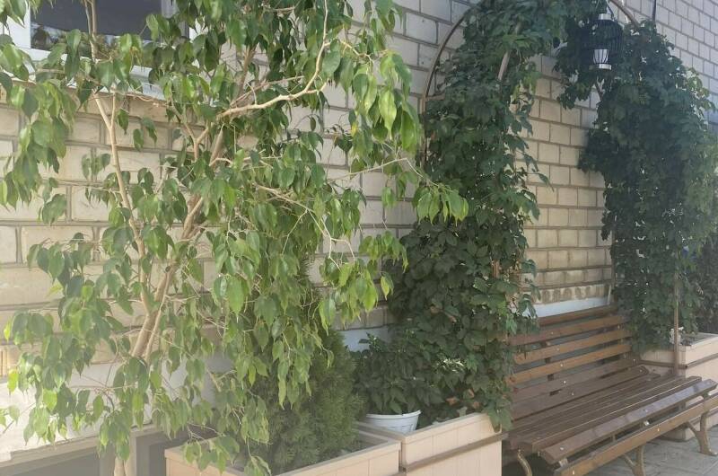 Изображение Изображение гостиницы &quot;Гостевой дом «У Пани»&quot; #4 #2