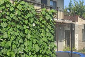 Изображение отеля / гостиницы "Гостевой дом «Семейный отдых»"