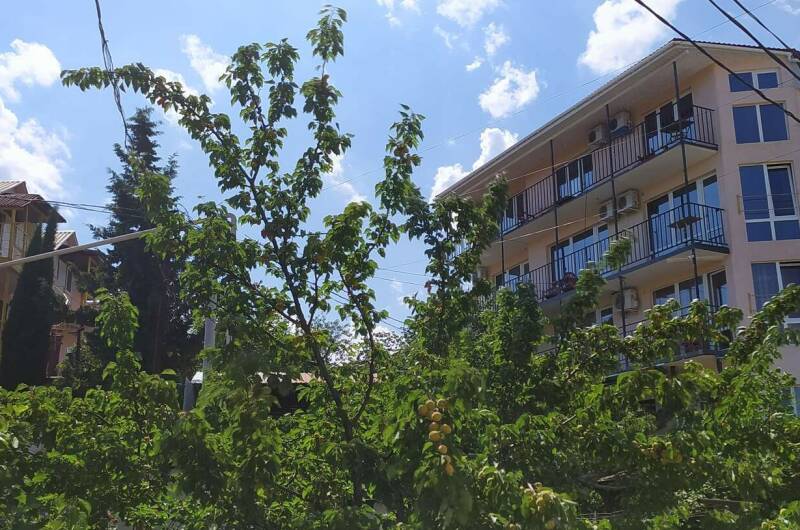 Изображение Изображение гостиницы &quot;Гостиный дом «Добрый Гном»&quot; #9 #7