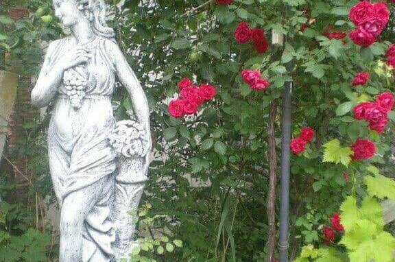 Изображение Изображение гостиницы &quot;Гостевой дом «Виктория»&quot; #3 #1