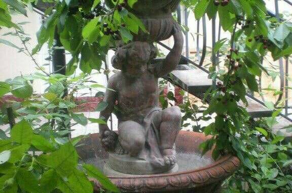 Изображение Изображение гостиницы &quot;Гостевой дом «Виктория»&quot; #6 #4