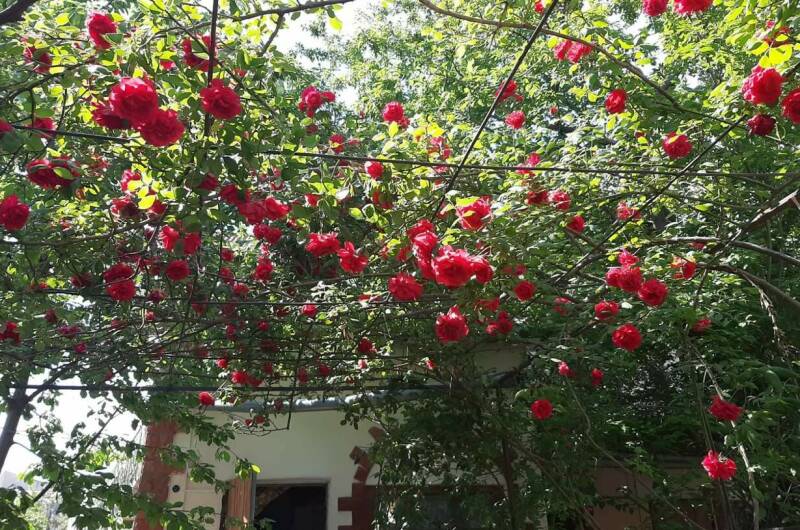 Изображение Изображение гостиницы &quot;Гостевой дом «Виктория»&quot; #7 #5