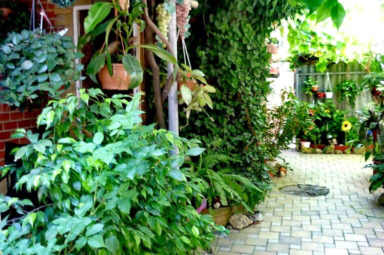 Изображение Изображение гостиницы &quot;Частное домовладение «Dog Friendly»&quot; #10 #8