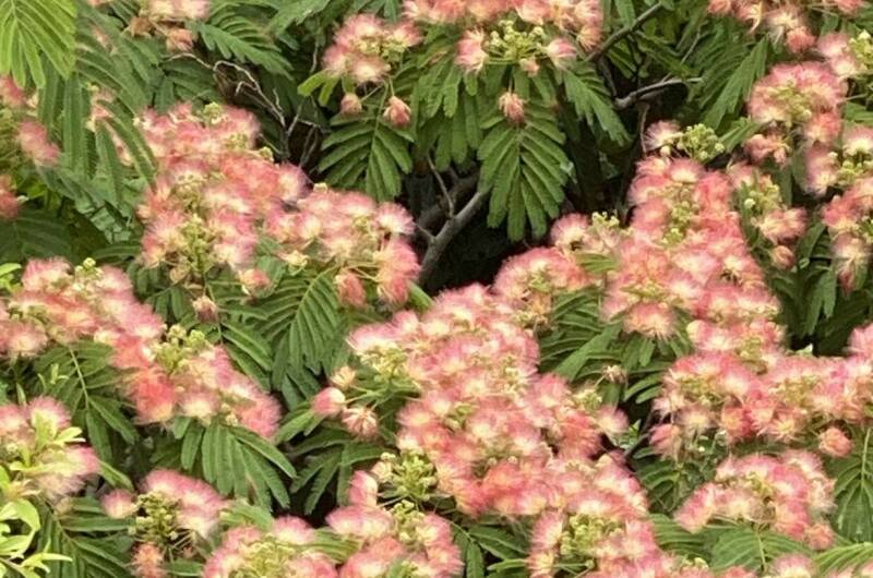 Изображение Изображение квартиры &quot;Квартира с панорамным видом на горы&quot; #8 #6