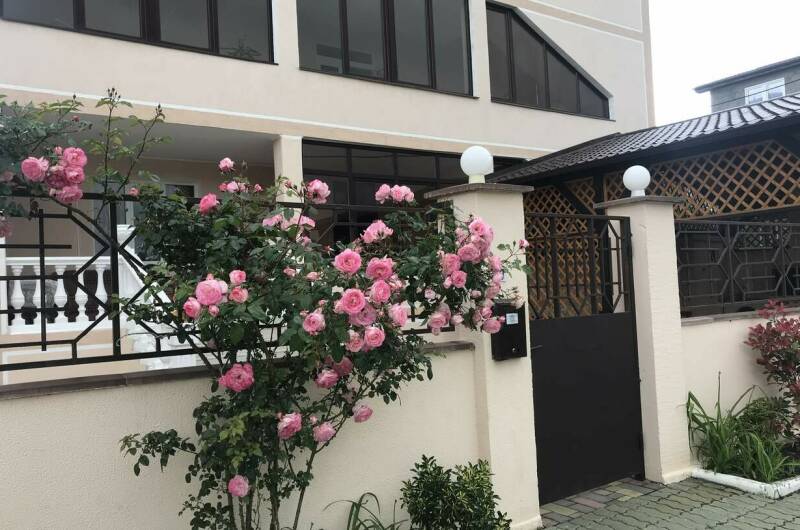 Изображение Изображение гостиницы &quot;Гостевой дом «Милена»&quot; #6 #4