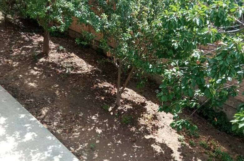 Изображение Изображение гостиницы &quot;Гостевой дом «Arbuz»&quot; #8 #6