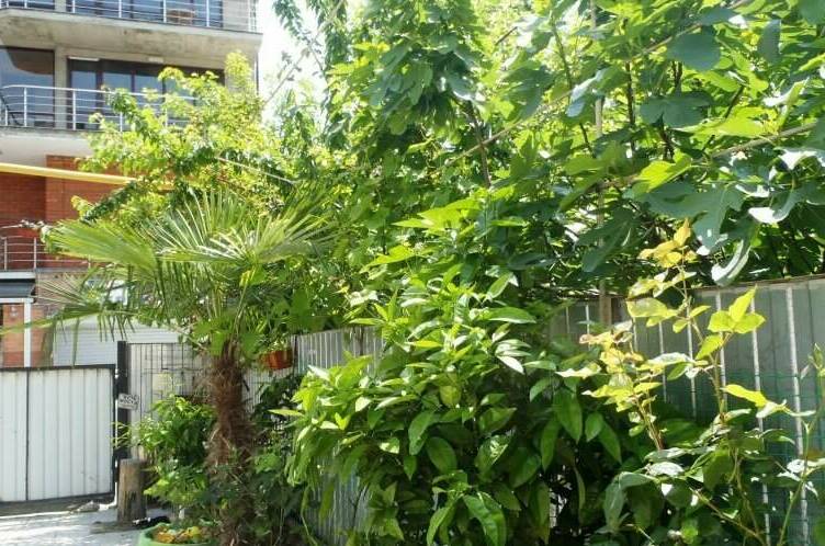 Изображение Изображение гостиницы &quot;Гостевой дом «У Валентины»&quot; #5 #3