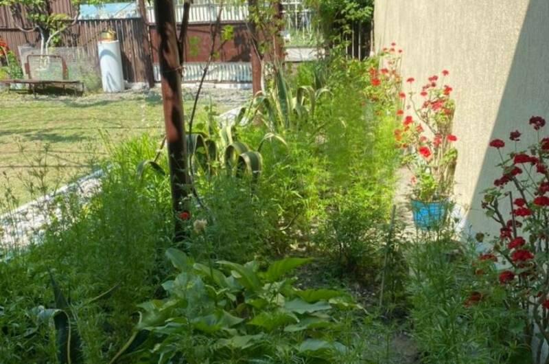 Изображение Изображение гостиницы &quot;Гостевой дом «У Фариды»&quot; #5 #3