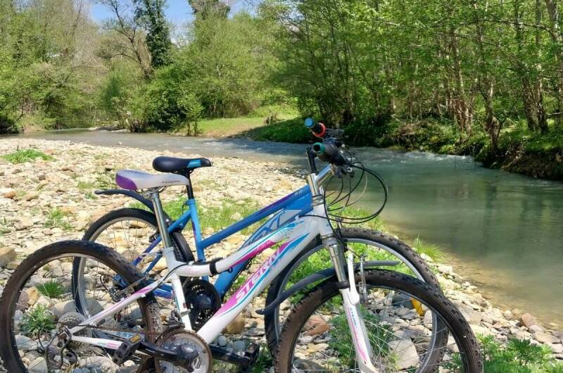 Изображение Изображение гостиницы &quot;Частный сектор «Вояж»&quot; #7 #5