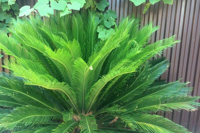 Изображение Изображение квартиры &quot;Двухэтажный дом&quot; #6 #4