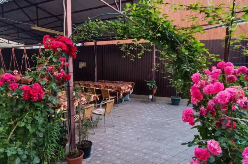 Изображение Изображение гостиницы &quot;Гостевой дом «Отдых на Кати Соловьяновой»&quot; #3 #1