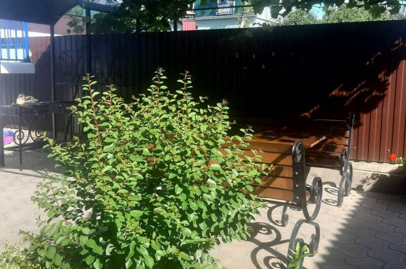 Изображение Изображение гостиницы &quot;Гостевой дом «Отдых у Марии»&quot; #4 #2