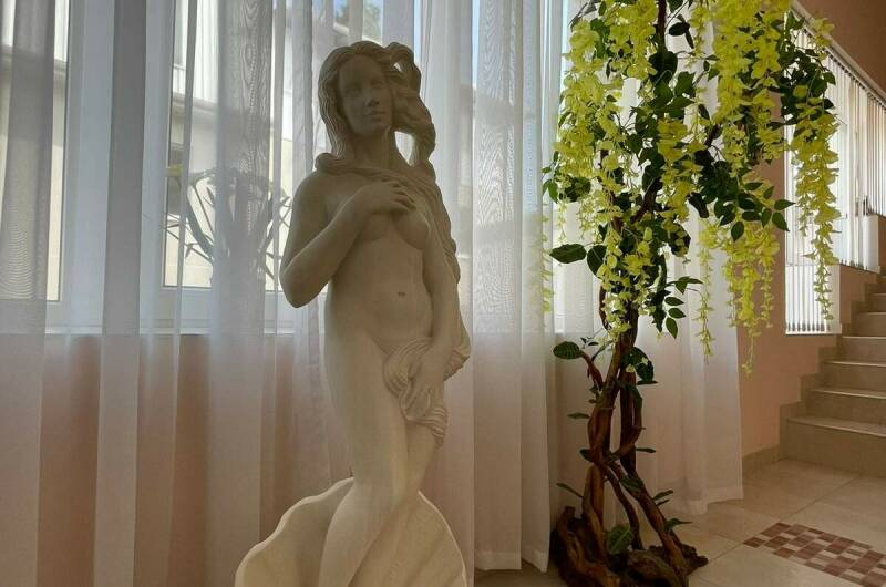 Изображение Изображение гостиницы &quot;Гостевой дом «Агрия-Джем 213 Б &amp; Три звезды»&quot; #10 #8