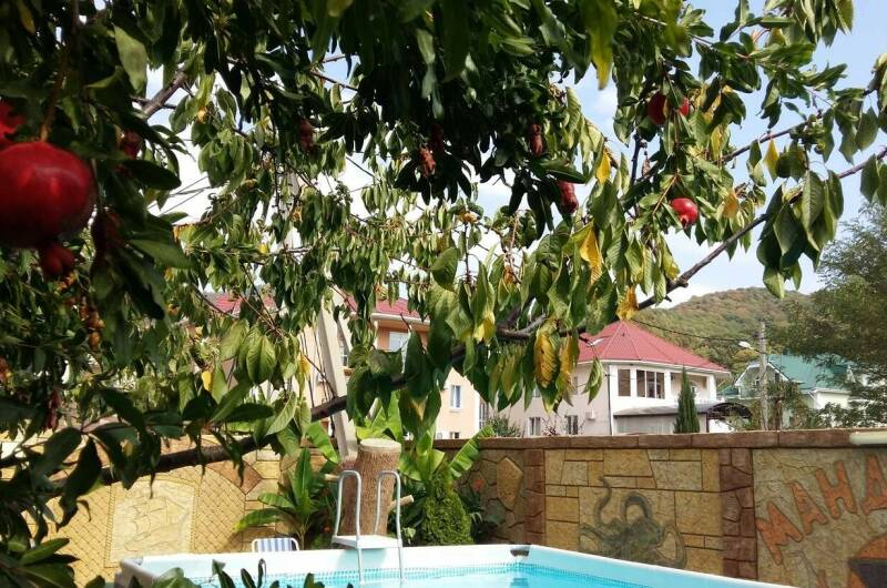 Изображение Изображение гостиницы &quot;Гостевой дом «Mандарин»&quot; #11 #9