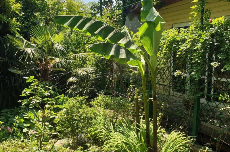 Изображение Изображение гостиницы &quot;Гостевой дом «Мирный»&quot; #3 #1