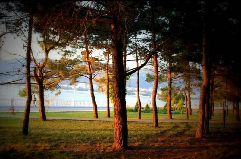 Изображение Изображение квартиры &quot;Двухкомнатная квартира с видом на море&quot; #11 #9